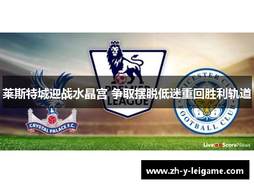 莱斯特城迎战水晶宫 争取摆脱低迷重回胜利轨道