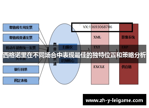 西格诺里在不同场合中表现最佳的独特位置和策略分析 西格诺里在不同场合中表现最佳的独特位置和策略分析