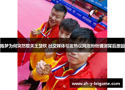 陈梦为何突然取关王楚钦 社交媒体引发热议网友纷纷猜测背后原因